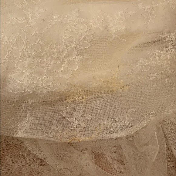 Vera Wang Strapless Lace Bridal Gown - Picture 8 of 12